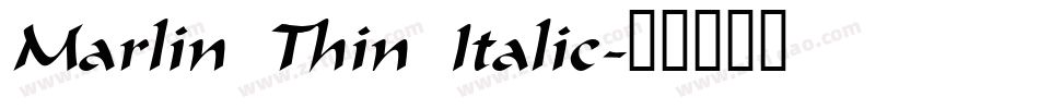 Marlin Thin Italic字体转换